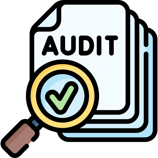 Website auditing to start Local SEO